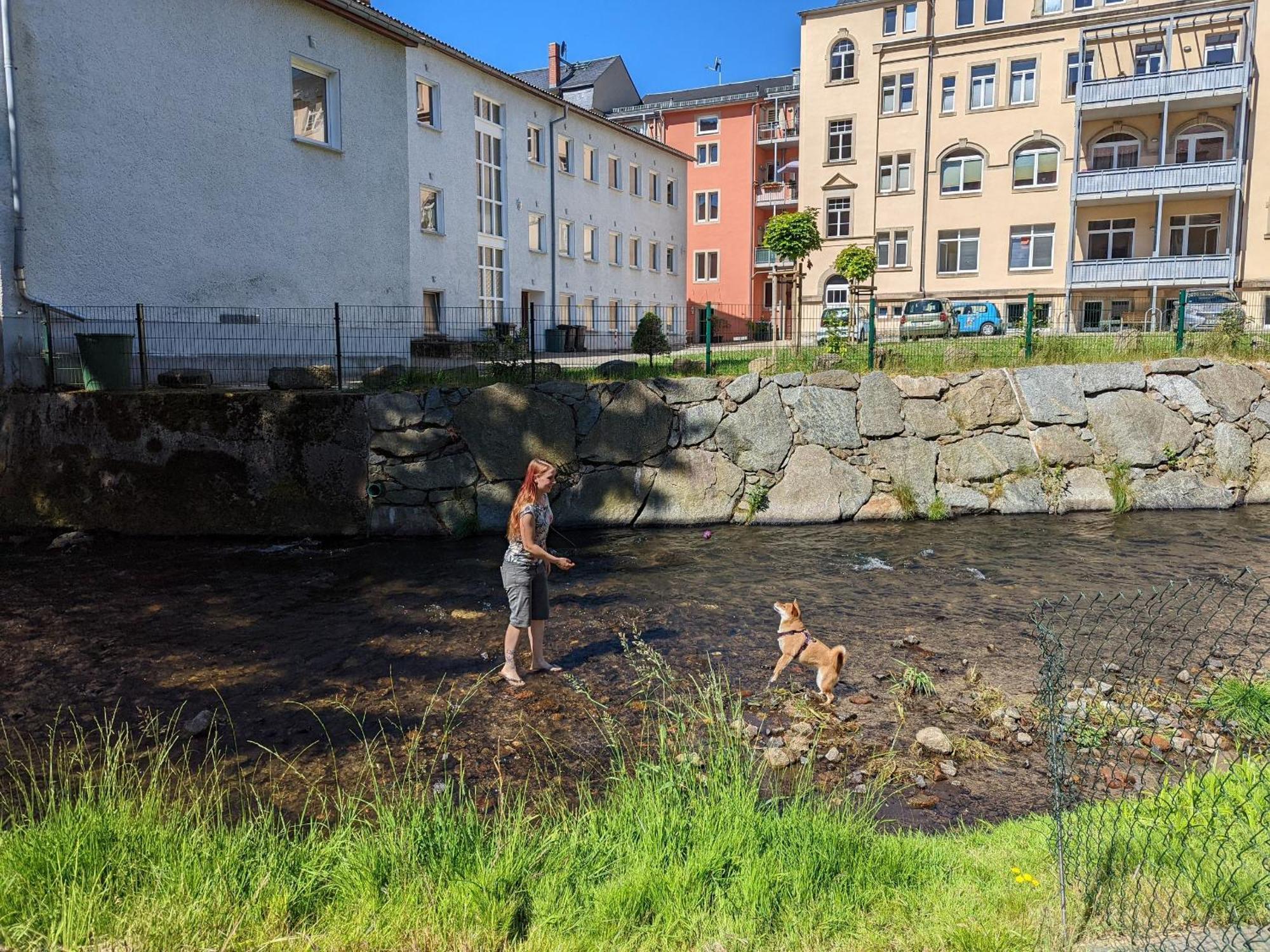Apartment Hw2 - Urlaubsmagie - Sauna & Whirlpool Fuer Alle Sebnitz